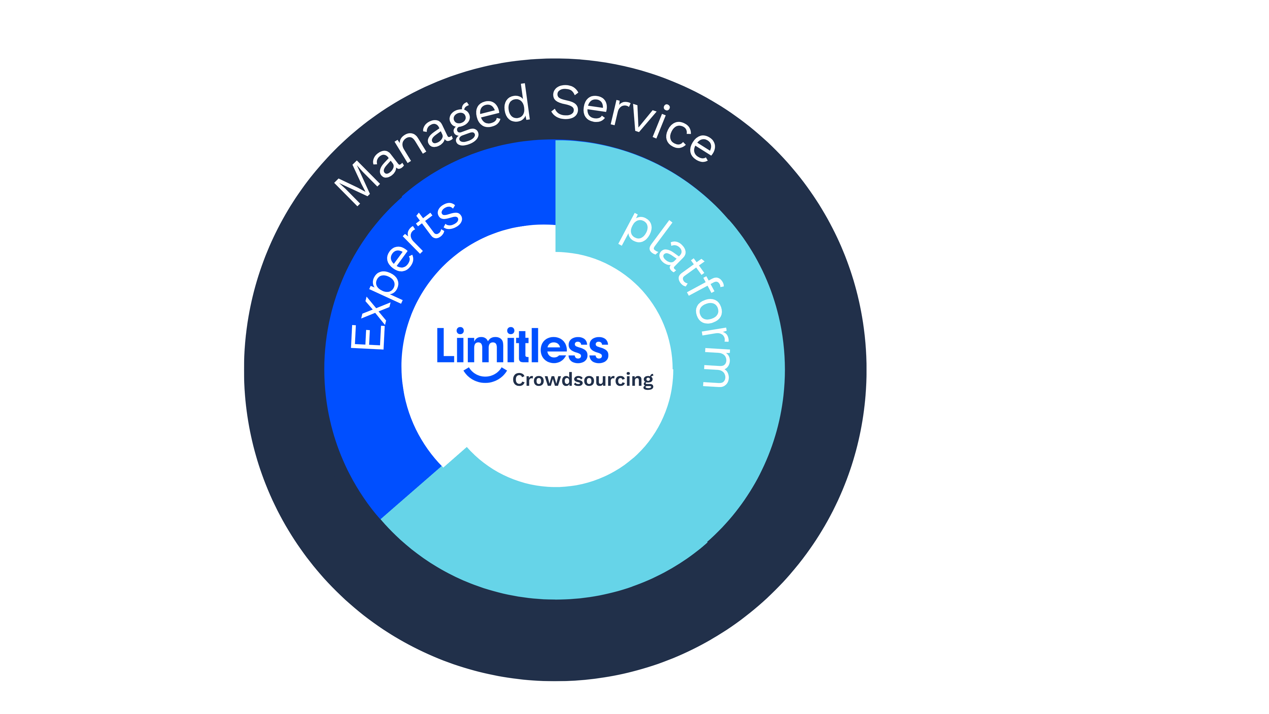 What is Limitless Crowdsourcing?